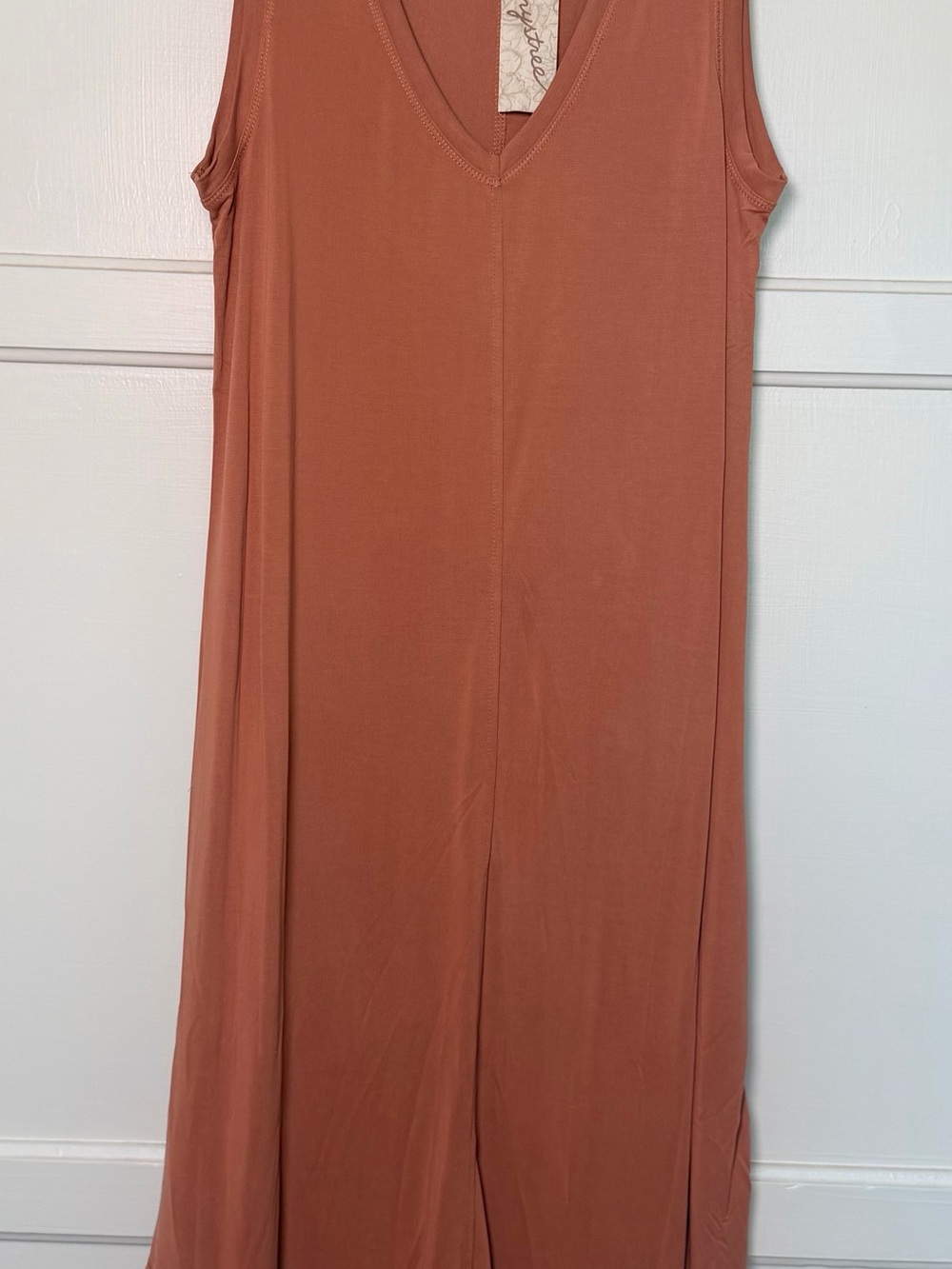 Mystree Sleeveless V-Neck Rust Maxi Dress